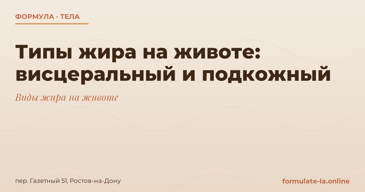 Типы жира на животе: висцеральный и подкожный